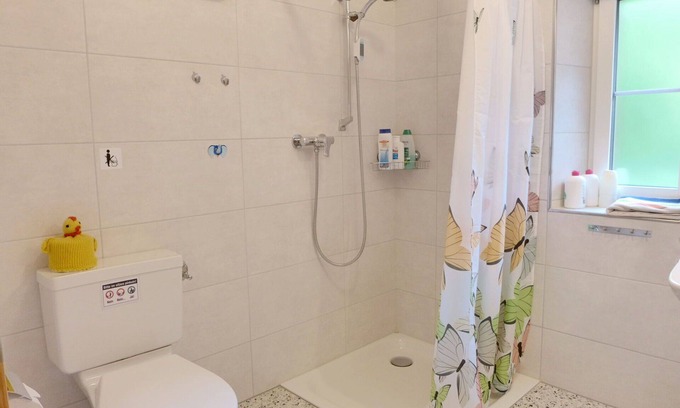 Brienzwiler Apartment | Lovely apartment for 5 people with WIFI, TV, terrace, pets allowed and panoramic view