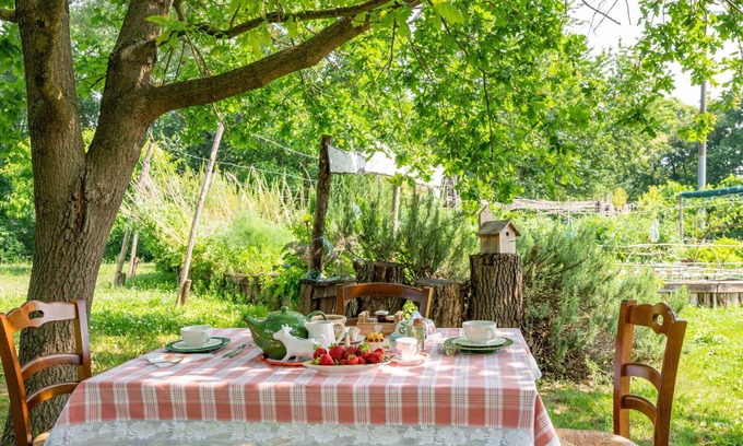 Cortiglione Apartment | Lovely apartment for 3 guests with WIFI, TV, terrace and pets allowed
