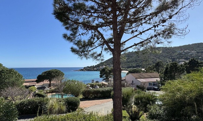 Tarcu Apartment | Lovely apartment for 4 people with pool, WIFI, A/C, terrace and pets allowed