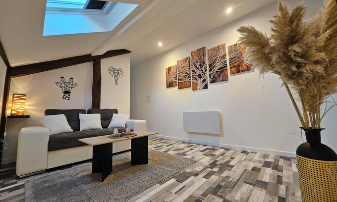 Decize Apartment | Lovely attic apartment a few steps from the town center