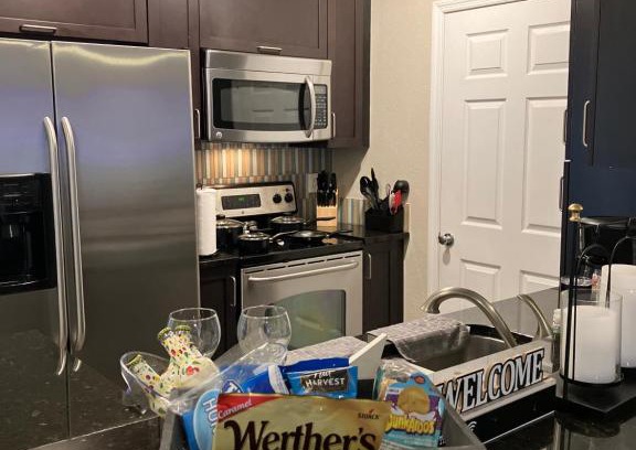 Port Tampa City Apartment | Lovely Spacious 2 BD w/ Pool and WiFi. Near Beaches, Downtown Tampa, And Shopping Mall!