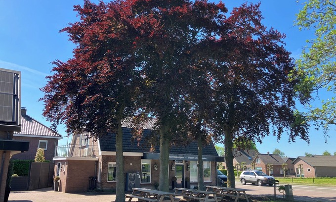 Municipality of Barneveld House | Lovely velvet vacation home (under the beech)