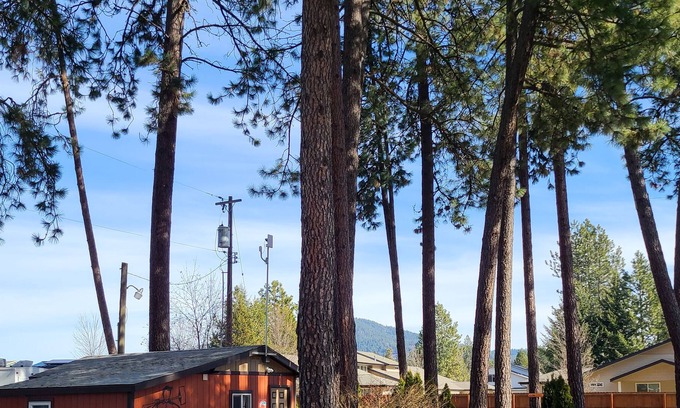 Coeur d'Alene Cabin | Lumberjack Bunkhouse...in the Heart of Coeur d'Alene, Idaho. Sleeps 8.