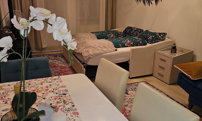 Old Town Apartment | Luxurious 1-room apartment in the heart of Bamberg