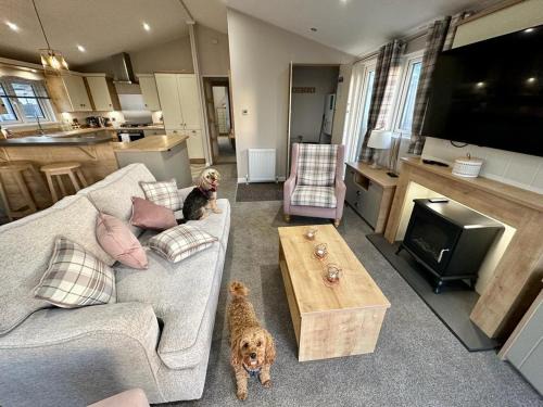 Newquay Apartment | Luxury 3 bedroom Maple View Lodge, Newquay, Cornwall