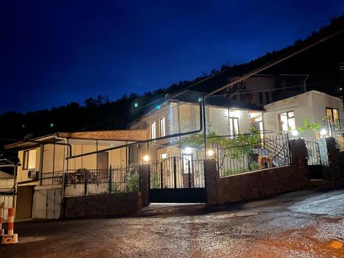 Borjomi Apartment | Luxury Apartment at Pirosmani 22 in central Borjomi