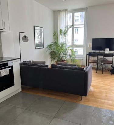 James-Fazy Apartment | Luxury Apartment in Central Geneva