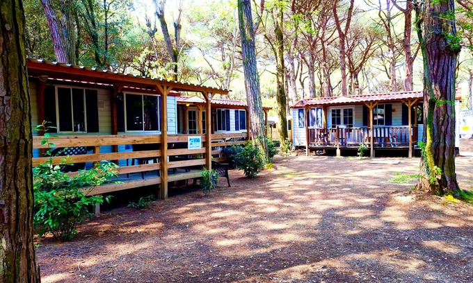 Lido di Spina Ski Chalet | Luxury Chalet near the sea! (no: 724)