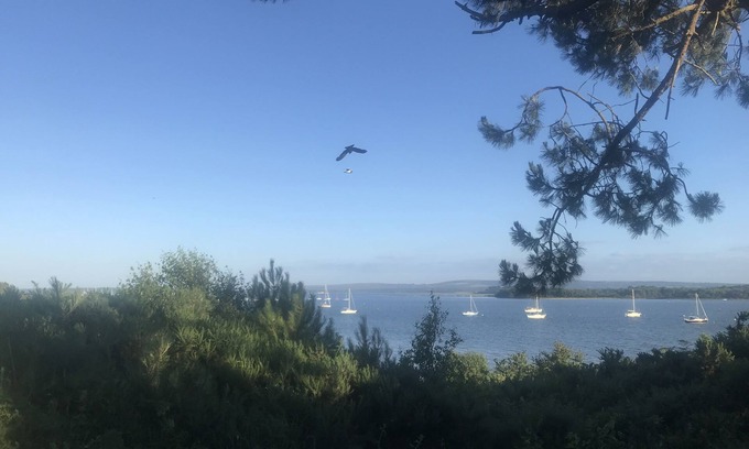 Hamworthy House | Luxury Holiday Home at 5 star Holiday Park near Sandbanks & Poole Harbour