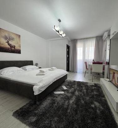 Drumul Taberei Apartment | LUXURY studio PLAZA M DRUMUL TABEREI
