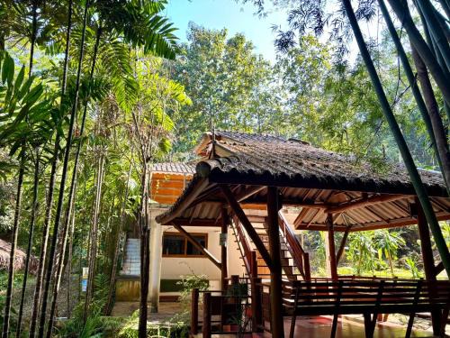 Mae Wang Resort | Maewin Resort