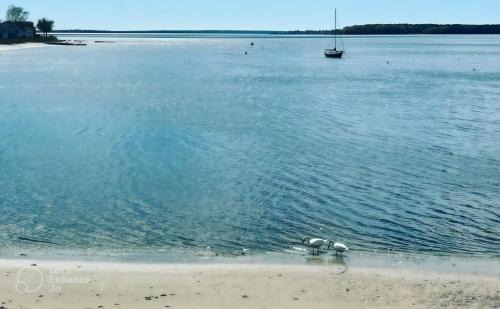 Warwick Apartment | Magical Midgely