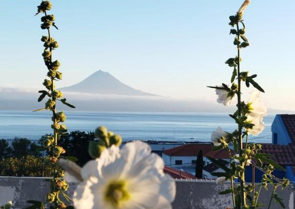 Velas Apartment | MAGMA RRAL3529