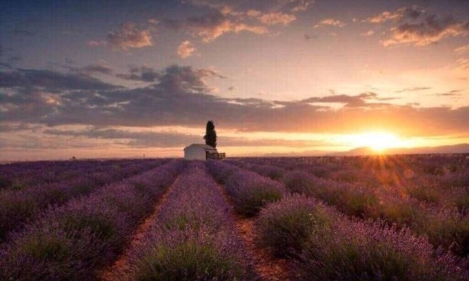 Greoux-les-Bains House | Magnifique Appartement T2: Rez de Jardin