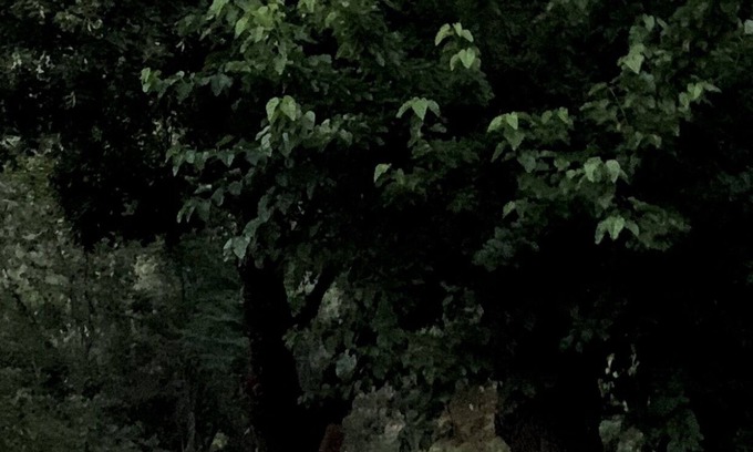 Endoume House | Magnifique Maison en Pleine Nature et Tout Confort Dans les Cévennes