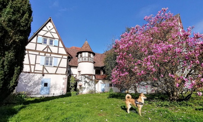 Wissembourg Apartment | Maison Alsacienne du Xviè Dans le Parc Naturel des Vosges du Nord