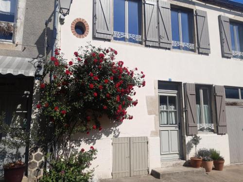 Charroux House | Maison de charme avec jardin clos et animaux acceptés - FR-1-489-538