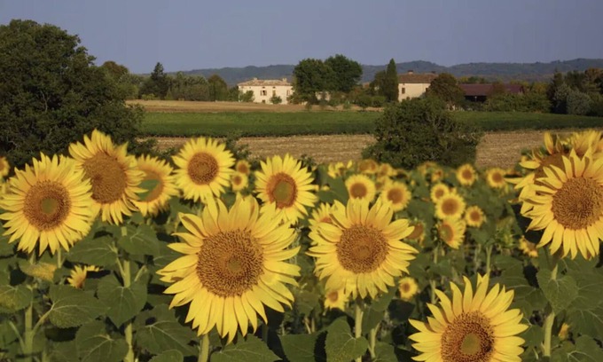 Alos House | Maison Elise, Southern France Country Home