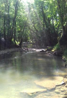 Prechacq-Josbaig Bed & Breakfast | Maison Sowilo