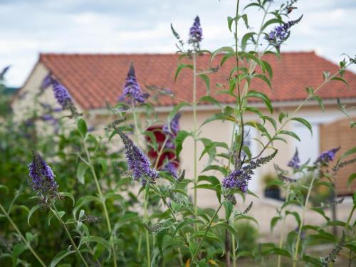 Fossemagne House | Maison tout confort au cœur du Périgord avec jardin, parking et Wi-Fi - FR-1-616-262