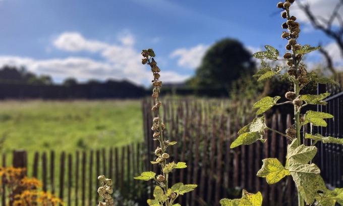 Roborst Villa | Maisonnette Frea, stylish vacation rental for two or alone,.