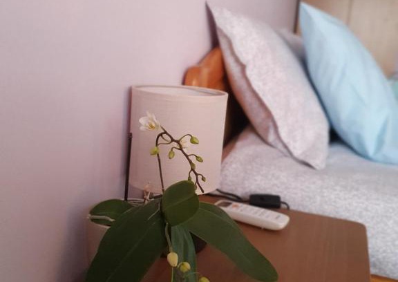 Ruse Center Apartment | Malavi Square top center apartment! Comfort&clean!