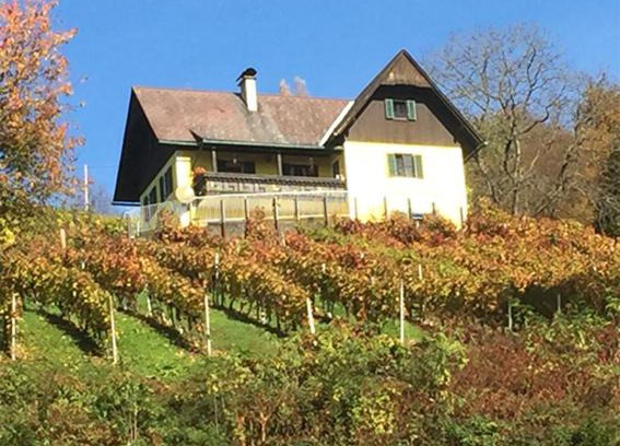 Kitzeck im Sausal Apartment | Malerisches Weingartenhäuschen in Kitzeck