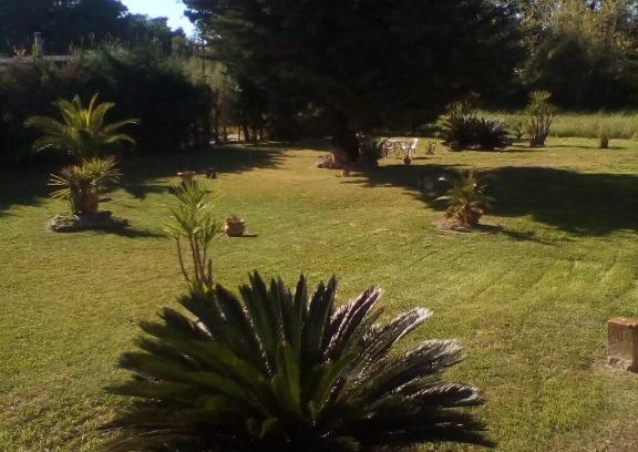 Laura Bed & Breakfast | Mamena