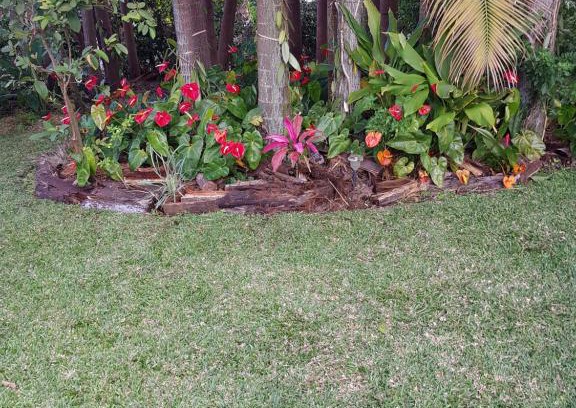 La Riviere Saint-Louis House | MANDARINE