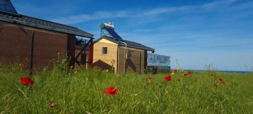 Vadu Other | Mara si Marea