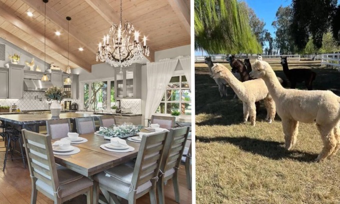 Modesto House | @ Marbella Lane - Alpaca Farm House l Pool