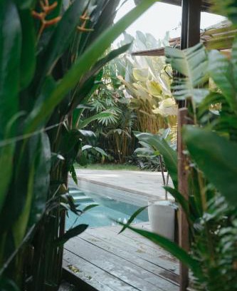 Catangnan Villa | Marevka - Pool Villa with garden