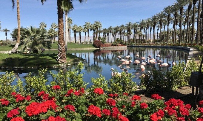 Palm Desert Resort | Marriott's Desert Springs Villas: Studio A