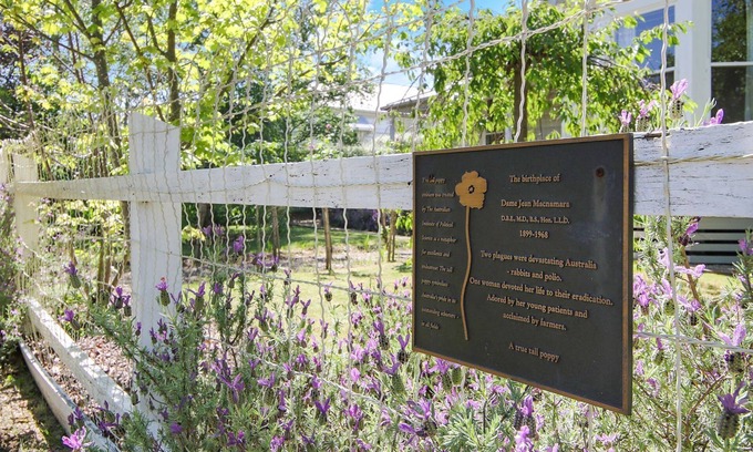 Beechworth House | McNamara House: Where history meets comfort in Beechworth's heart.
