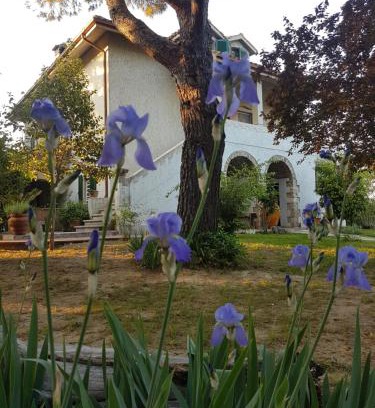 Ascoli Piceno Bed & Breakfast | MeraVilla