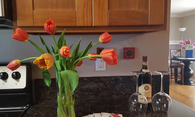Napa House | Mi Casa Su Casa, Napa Valley Vacation Rental