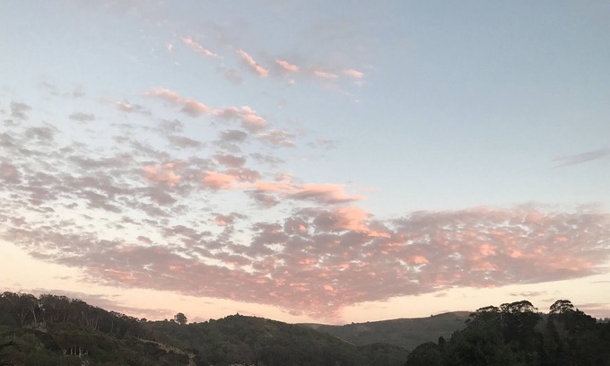 Tamalpais-Homestead Valley Apartment | Mill Valley: 15 Mins to SF, 10 Mins to Muir Woods