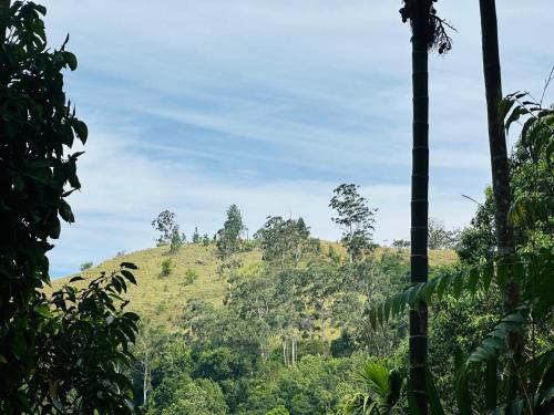 Ella House | Mithun Homestay Ella