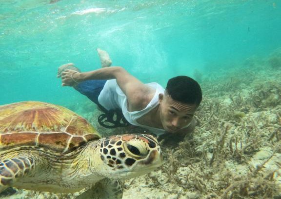 Basdiot House | Moalboal Indino's Guesthouse sardines run and sea turtle 1 minute walking distance