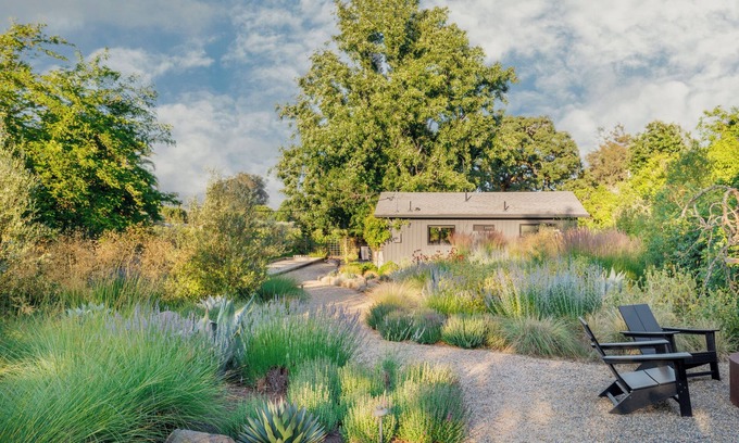 Sonoma Cottage | Modern Farmhouse on Vineyard w/Deck, Bocce & Wine Country Views