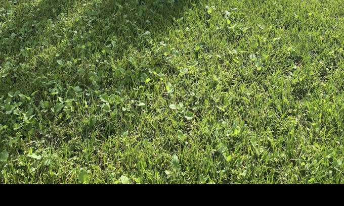 Orlando House | Modern home 10 minutes from MCO Airport