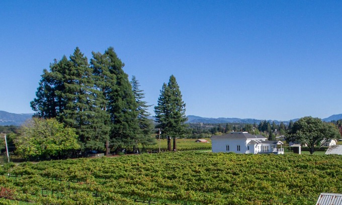 Healdsburg Other | Modern Vineyard Farmhouse - Close to Downtown Healdsburg - 4 BD/4 Ensuite Baths