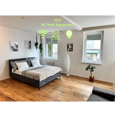 St. Gallen Apartment | Modernes, renoviertes Apartment nähe dem Zentrum kostenloses Parken