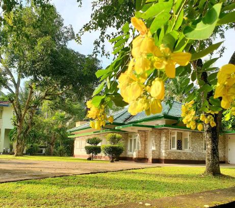 Wanchawala Apartment | Mohotti House