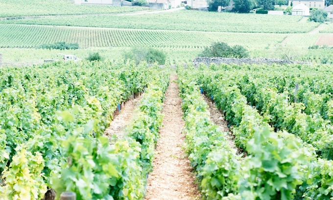 Saint-Jean-de-Losne House | Mon Cocooning : House in St Jean de Losne