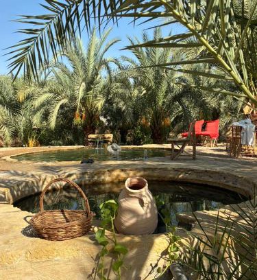 Siwa Other | Monica Camp Siwa مونيكا كامب سيوة