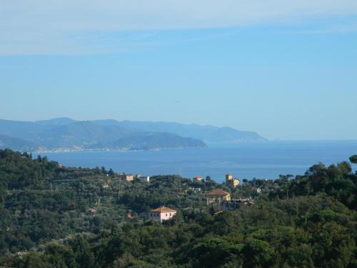 Ruta Apartment | Monolocale Fattorialmare Gialla