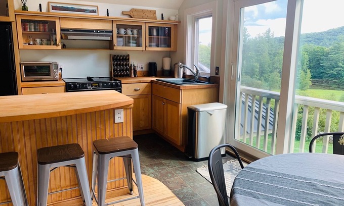 Roxbury Apartment | Moonlight Mountain Farm Vermont Studio w Hot Tub Spa Room