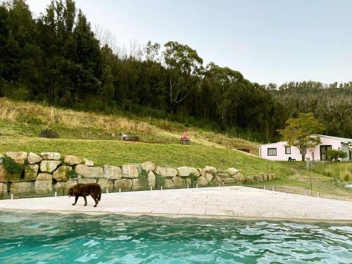 Kangaroo Valley House | Moosewood House, Kangaroo Valley