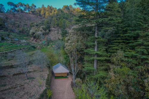 Kaul Other | Mount Look